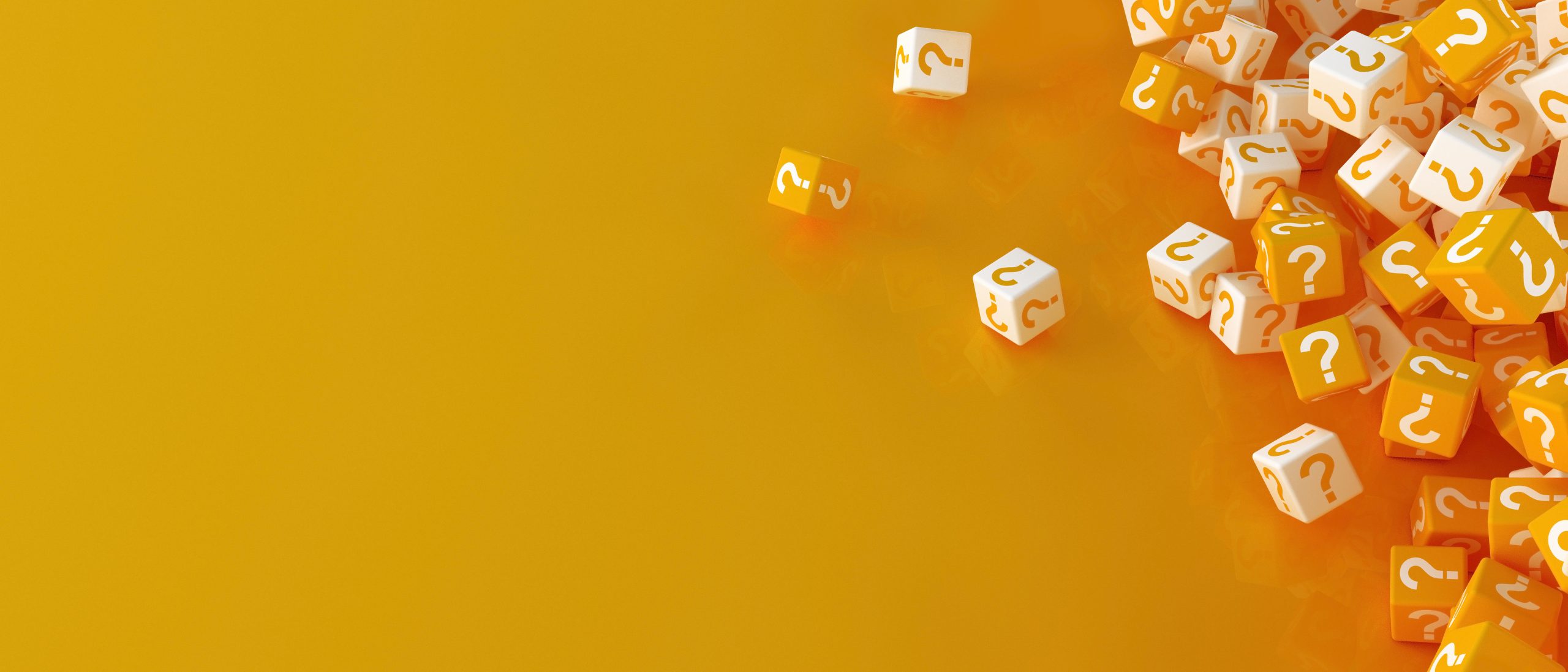 Frequently Asked Questions about Socotra Travel